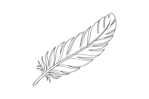 Elegant Feather Outline: Graphics for Coloring Pages Amp