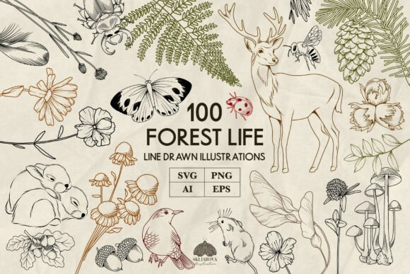 Forest Animals and Plants Line Art Graphics Review