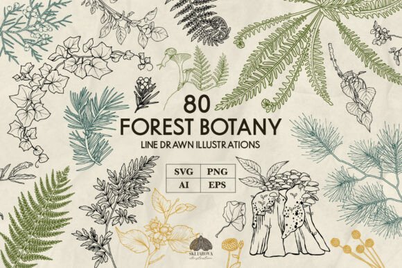 Forest Botany Line Art SVG: Botanical Graphics & Illustrations