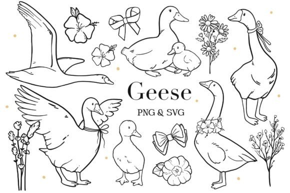 Geese Silhouette PNG SVG: Graphic & Illustration Review