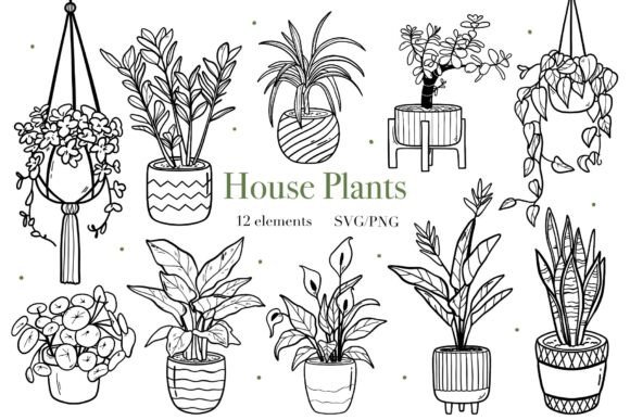 House Potted Plants Line Art: Graphics & Illustrations