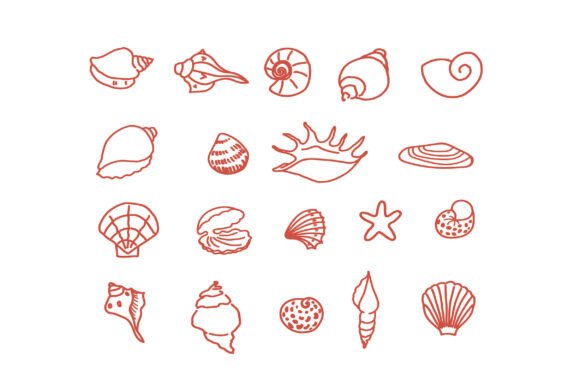 Sea Shells Clipart: A Brand Designer's Review for Graphics & Crafts