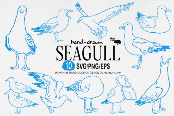 Seagull Hand Drawn Clipart SVG PNG: Graphics & Illustrations